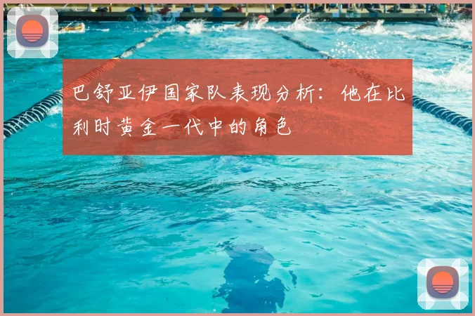巴舒亚伊国家队表现分析：他在比利时黄金一代中的角色