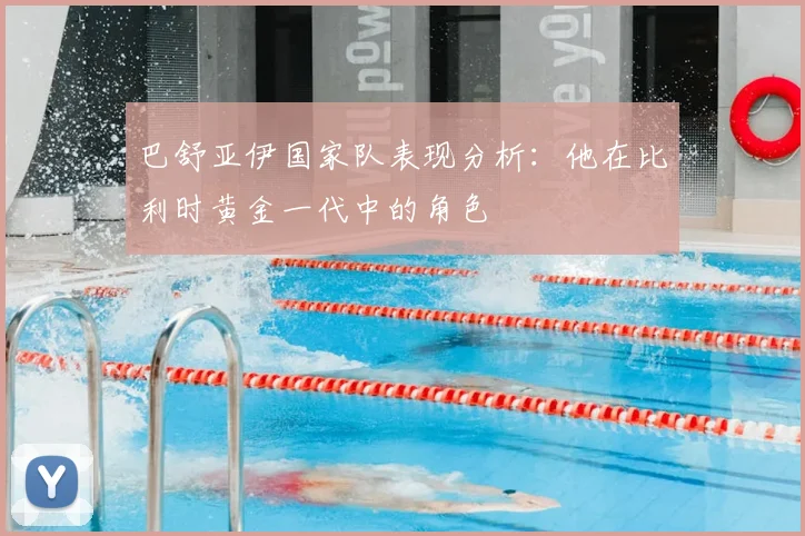 巴舒亚伊国家队表现分析：他在比利时黄金一代中的角色